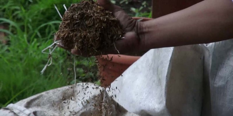 TECNacional - Docentes y Obreros de Campo se capacitan sobre bioinsumos e insumos orgánicos