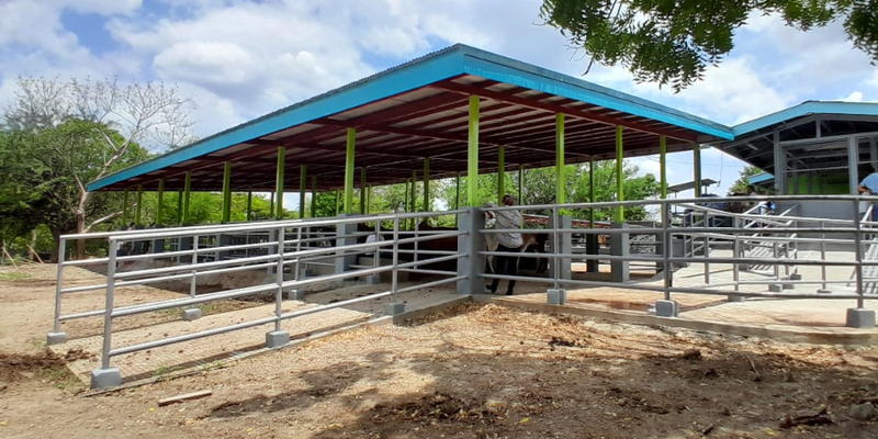 Inauguran Área Didáctica para Ganado Bovino  en Centro Técnico de Juigalpa