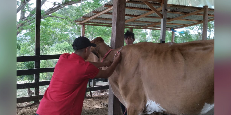 Más de 1000 estudiantes del campo son atendidos en el Programa Vocación Productiva en Muy Muy