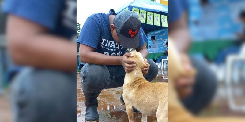 Estudiantes Técnicos de Veterinaria comparten sus aprendizajes con las familias de Nueva Guinea