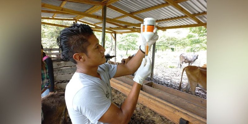 Protagonistas de San José de Cusmapa comparten sus aprendizajes con pobladores de la comunidad Ángel 3