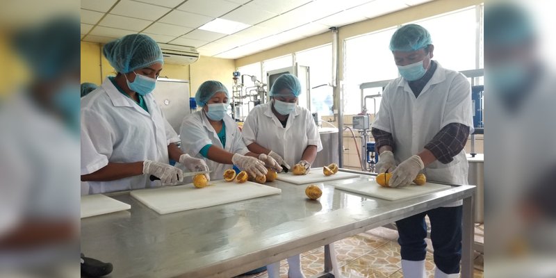 Productores de Nandaime se capacitan en Elaboración de Néctar y Conservas a base de frutas