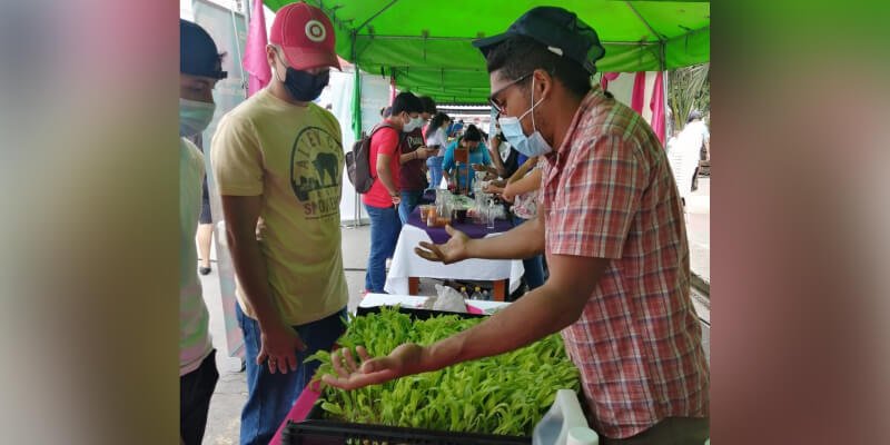 Estudiantes técnicos presentan proyectos novedosos en el Festival Regional de INNOVATEC