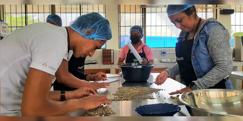 Avanza curso especializado sobre Catación de Café para el fortalecimiento de productores de Jinotega