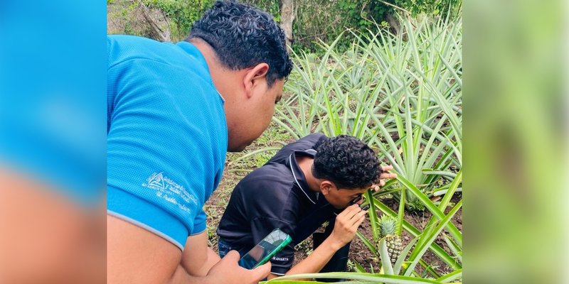 Del surco al aula: la historia de un maestro que cultiva profesionales técnicos del sector agropecuario en San Carlos