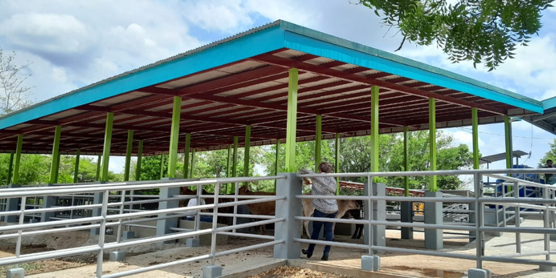 Inauguran Área Didáctica para Ganado Bovino  en Centro Técnico de Juigalpa