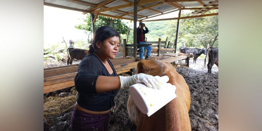 Protagonistas de San José de Cusmapa comparten sus aprendizajes con pobladores de la comunidad Ángel 3