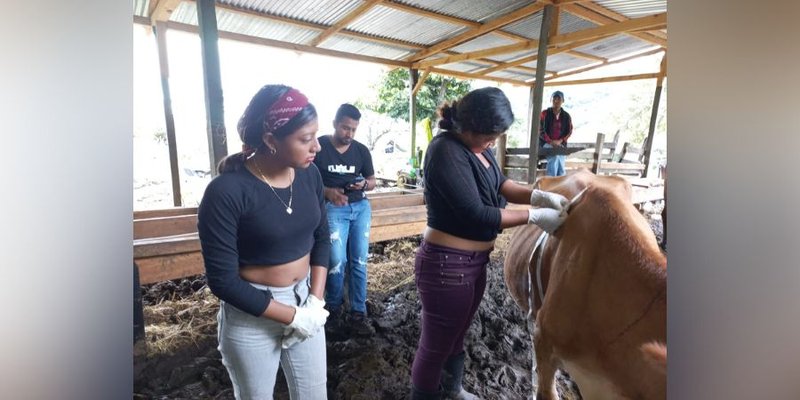 Protagonistas de San José de Cusmapa comparten sus aprendizajes con pobladores de la comunidad Ángel 3