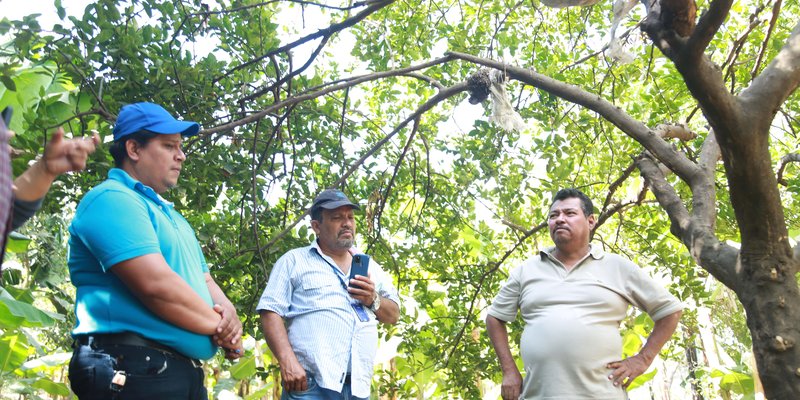 Lanzamiento de Programa Nacional de Educación Técnica en el Campo “Augusto C. Sandino”