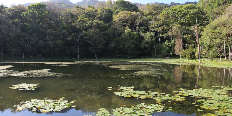 Conoce cómo promueve INATEC  el cuido del medio ambiente