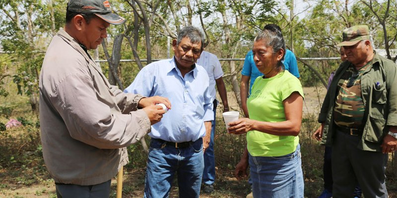 Programa Nacional Educación Técnica en el Campo
