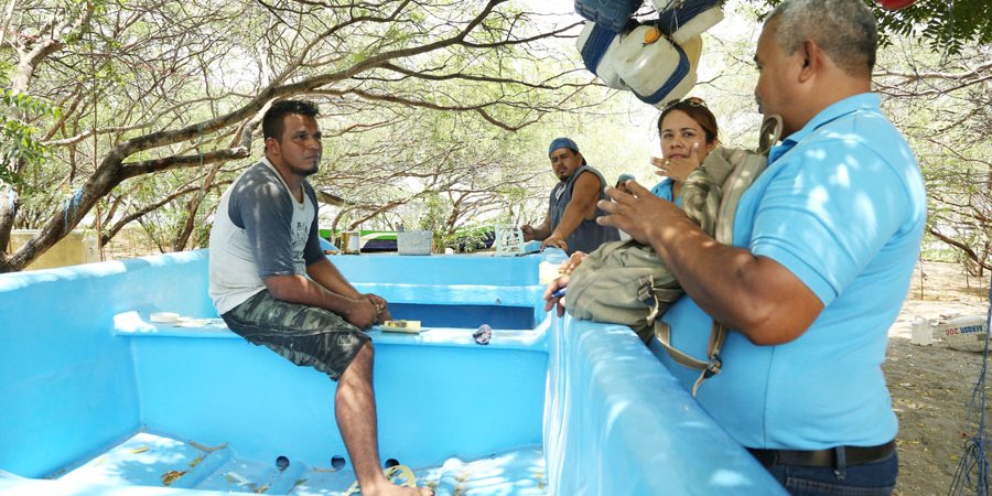 Curso de Pesca, totalmente gratis