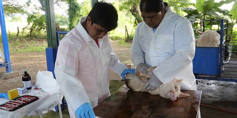 Centro Tecnológico Arlen Siu, El Sauce