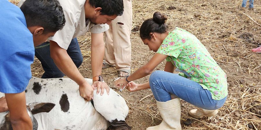 Jornada de vitaminación y desparasitación en comunidades de Nandaime
