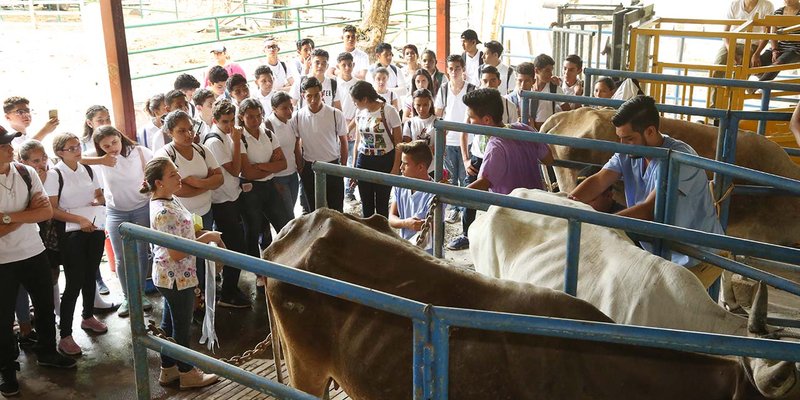 Estudiantes de Secundaria visitan Centro Tecnológico de San Isidro
