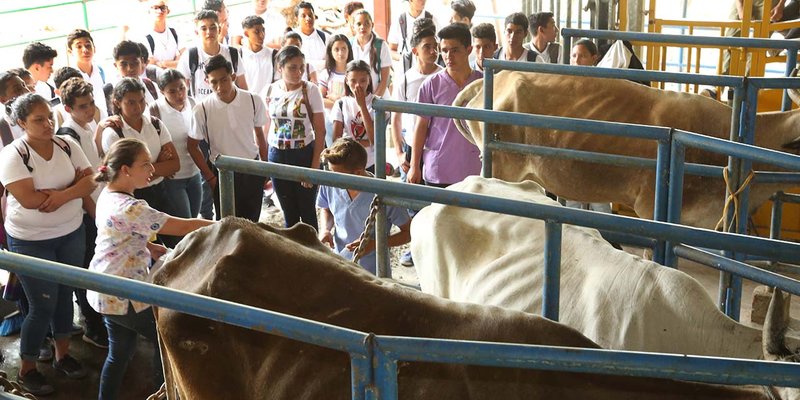 Estudiantes de Secundaria visitan Centro Tecnológico de San Isidro