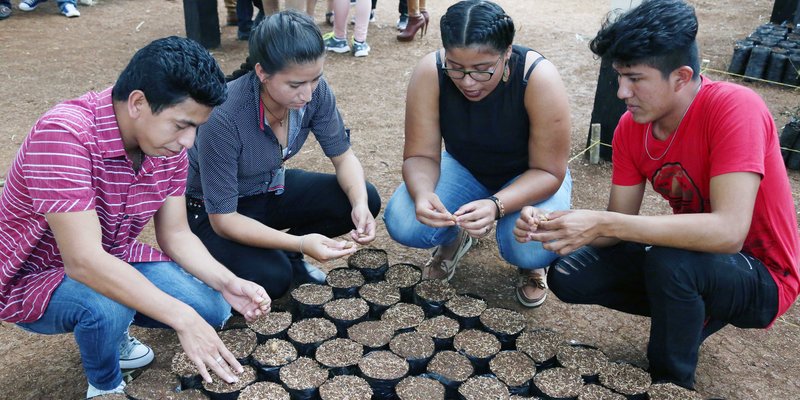 TECNacional - Inauguran vivero didáctico en Nueva Guinea