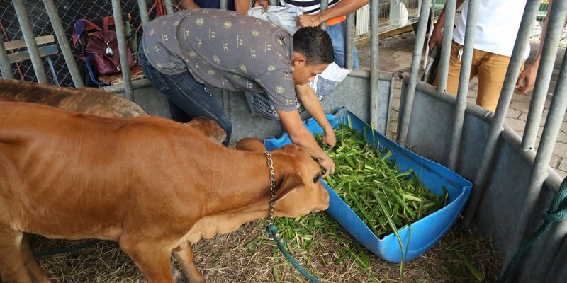 Celebraron Acceso a la Educación Técnica Agropecuaria