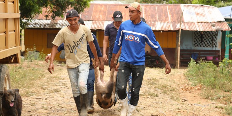 5 hermanos, un sólo objetivo