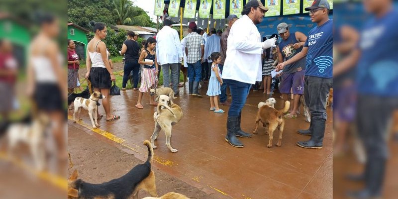 Estudiantes Técnicos de Veterinaria comparten sus aprendizajes con las familias de Nueva Guinea