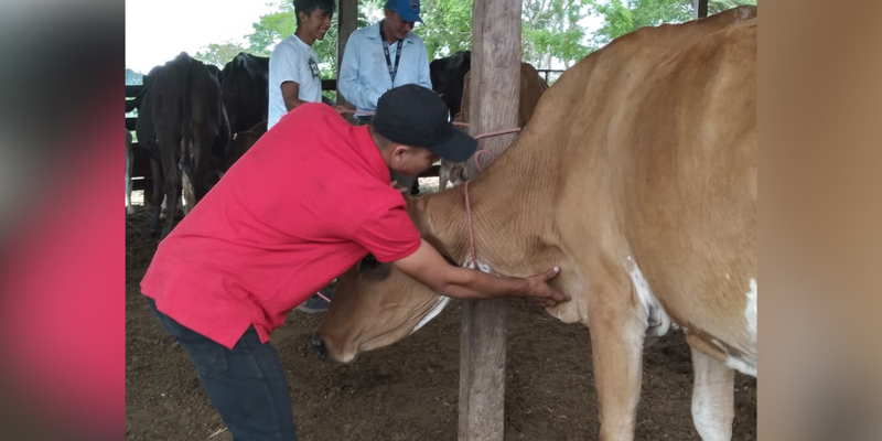 Más de 1000 estudiantes del campo son atendidos en el Programa Vocación Productiva en Muy Muy