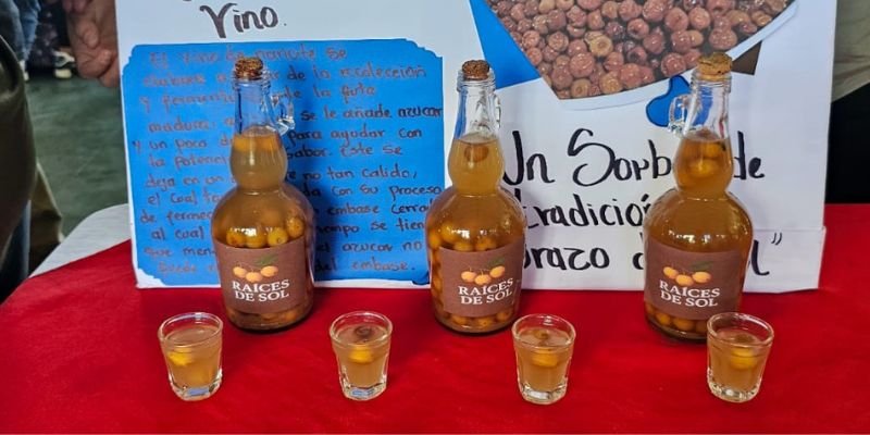 Feria Técnica y Tecnológica en León destaca innovación y creatividad desde la Educación Técnica