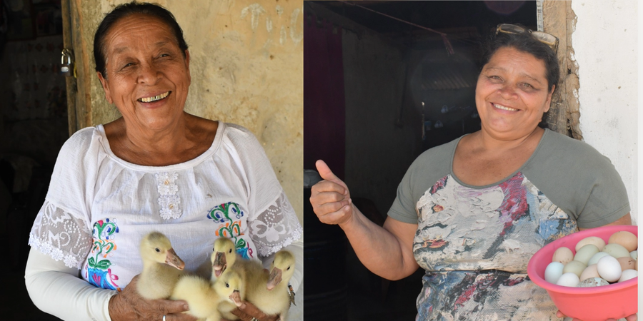 ¡Cosechando éxitos! Las inspiradoras historias de mujeres protagonistas de las Escuelas Técnicas de Campo