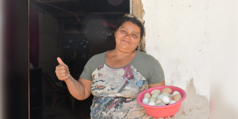 ¡Cosechando éxitos! Las inspiradoras historias de mujeres protagonistas de las Escuelas Técnicas de Campo