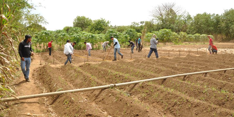 conservación del suelo