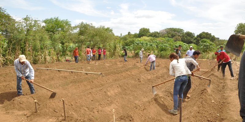 conservación del suelo