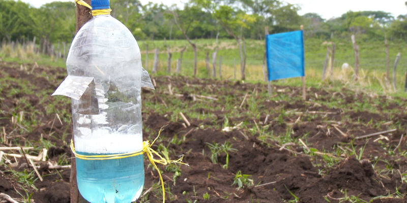 “La mejor Escuela está en el Campo”