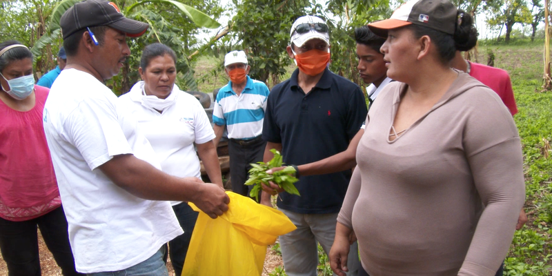 “La mejor Escuela está en el Campo”