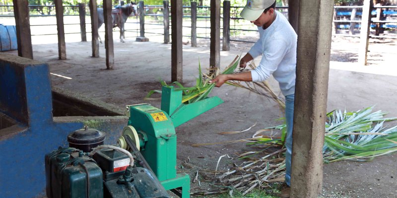 Centros Tecnológicos de León presentan oferta de Carreras Técnicas del 2021