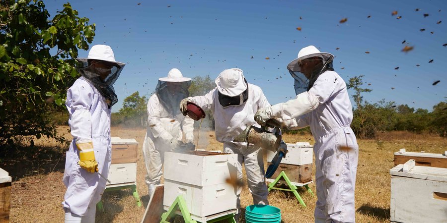 Centro Tecnológico de El Sauce, un espacio de formación para los futuros técnicos profesionales agropecuarios