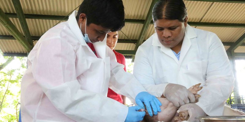 Centro Tecnológico de El Sauce, un espacio de formación para los futuros técnicos profesionales agropecuarios