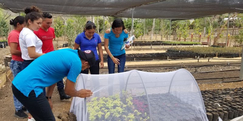 Estudiantes técnicos celebran el Día Mundial Forestal