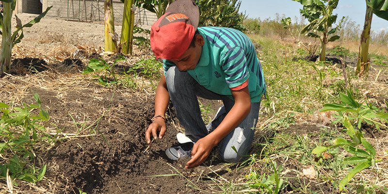 Protagonistas de las escuelas de campo contentos con la estrategia de educación técnica