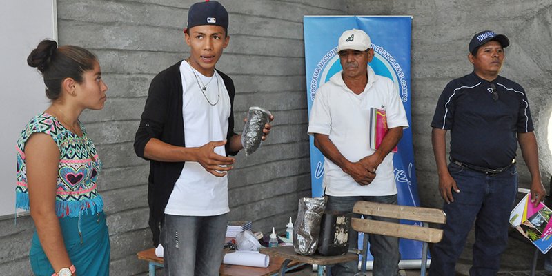 Protagonistas de las escuelas de campo contentos con la estrategia de educación técnica