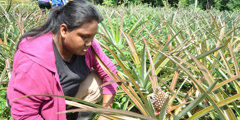 Carreras agropecuarias base del desarrollo económico