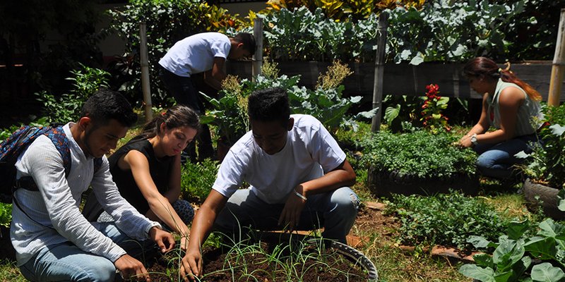 Educación Técnica orientada al cuido y preservación de la madre tierra