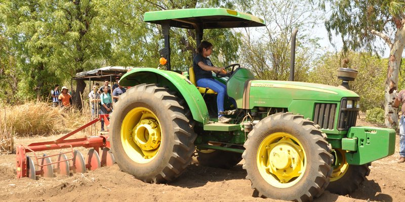 Carreras agropecuarias base del desarrollo económico
