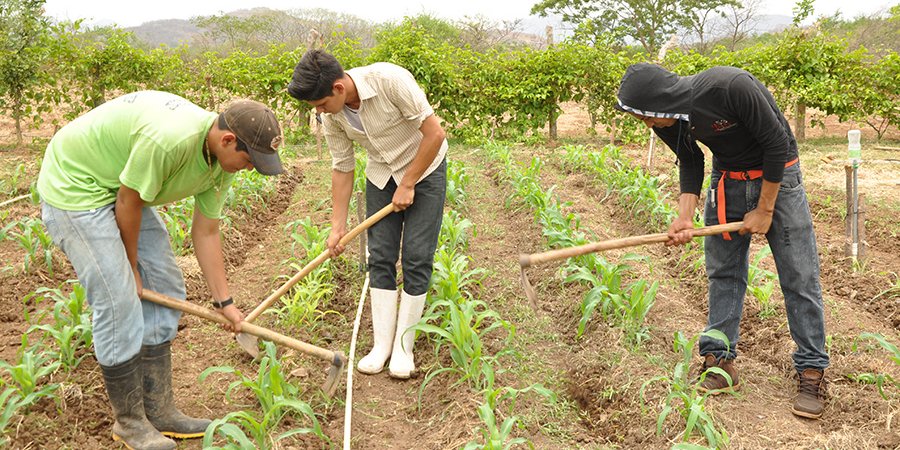 Centro Tecnológico Cmte. Germán Pomares Ordoñez, Juigalpa