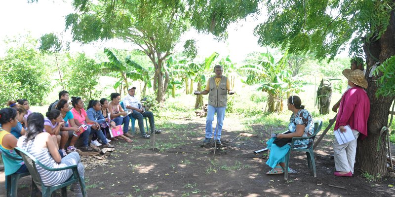 Sector Agropecuario en Nicaragua