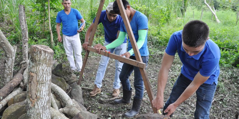 Sector Agropecuario en Nicaragua