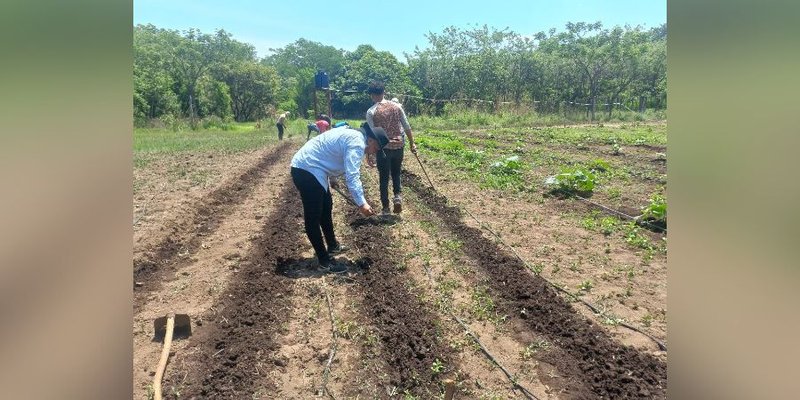 Aprender-Haciendo, un modelo que fortalece las capacidades a los futuros profesionales en Agropecuario