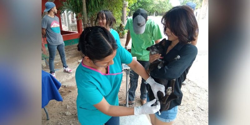 Estudiantes Técnicos de Veterinaria  desarrollan Jornada de Sanidad Animal en Juigalpa