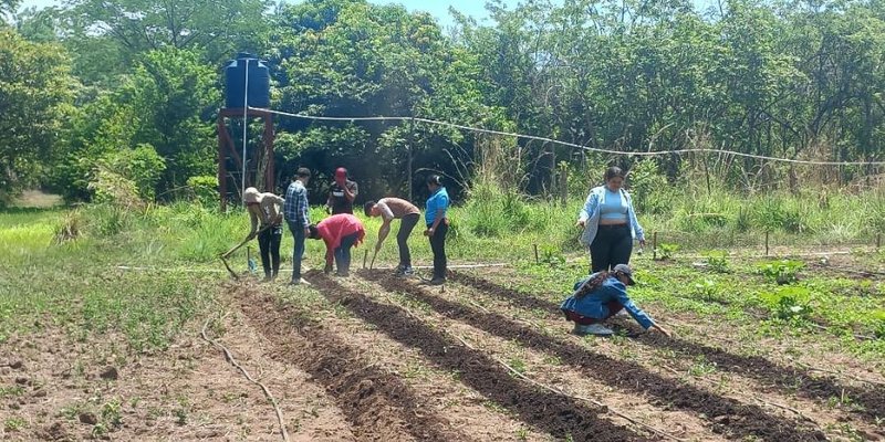 Aprender-Haciendo, un modelo que fortalece las capacidades a los futuros profesionales en Agropecuario