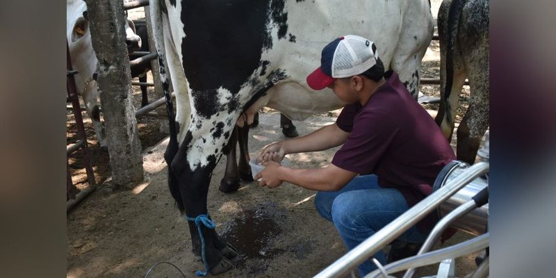 Aprender-Haciendo, un modelo que fortalece las capacidades a los futuros profesionales en Agropecuario