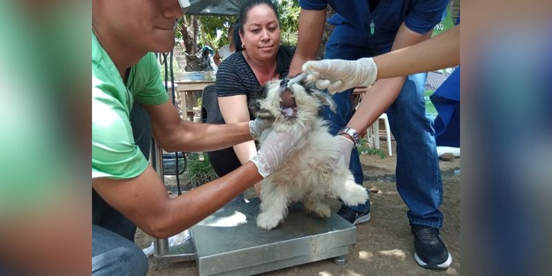 Estudiantes Técnicos de Veterinaria  desarrollan Jornada de Sanidad Animal en Juigalpa