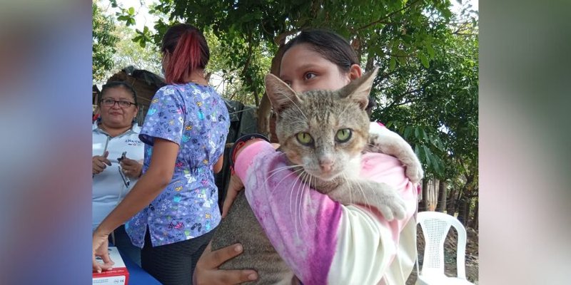 Estudiantes Técnicos de Veterinaria  desarrollan Jornada de Sanidad Animal en Juigalpa